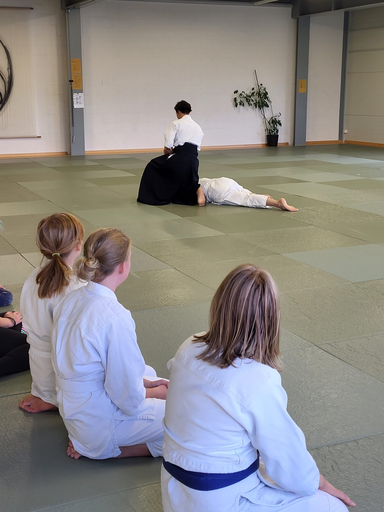 Aikido