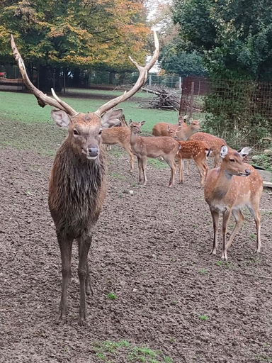 Tierpark Langenthal