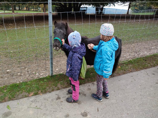 Tierpark Langenthal